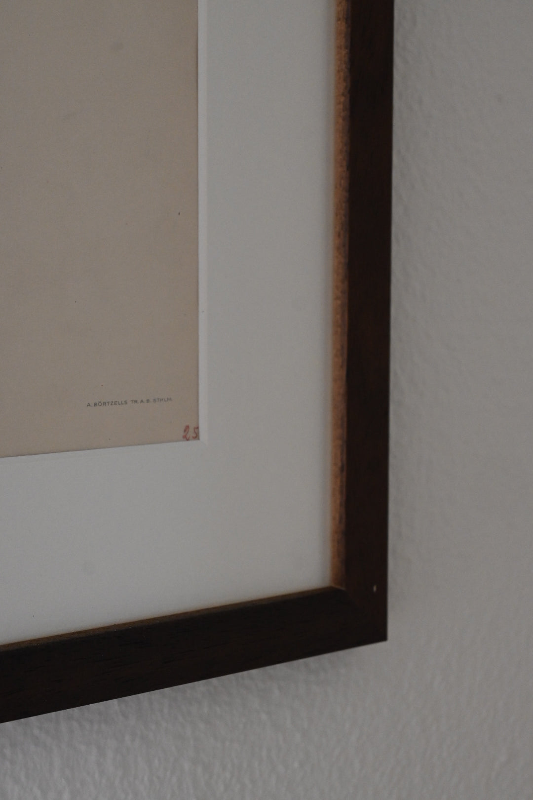 Litografi Svenska Fåglar