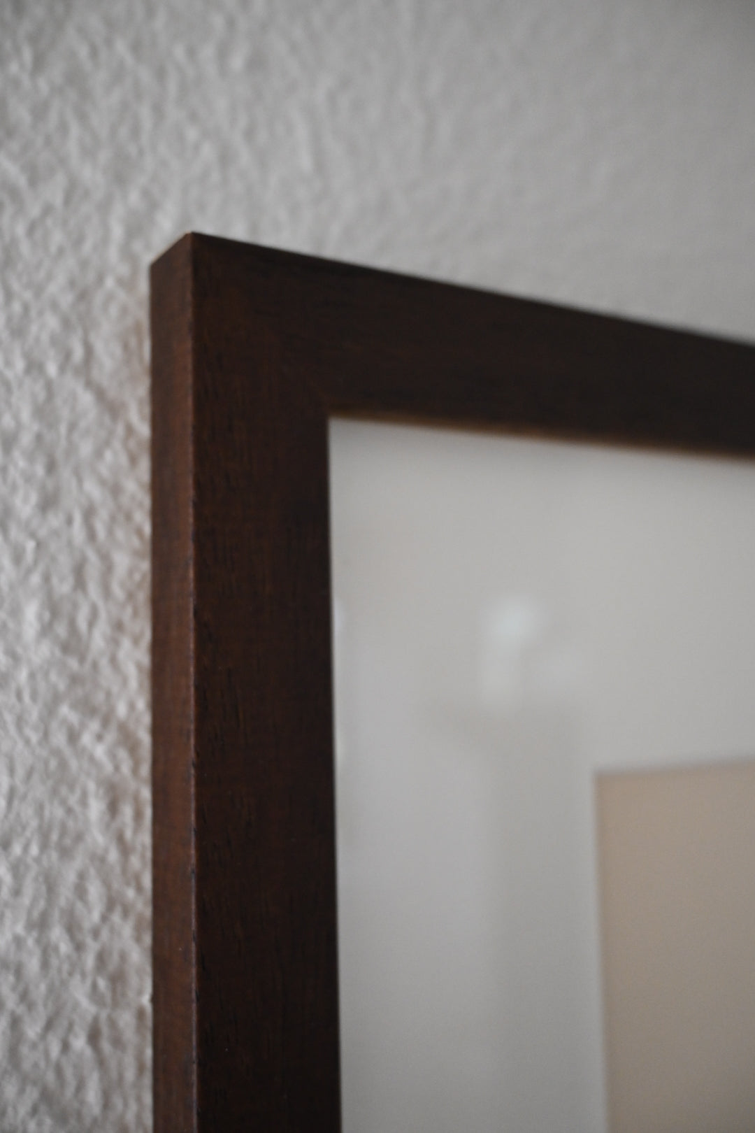 Litografi Svenska Fåglar