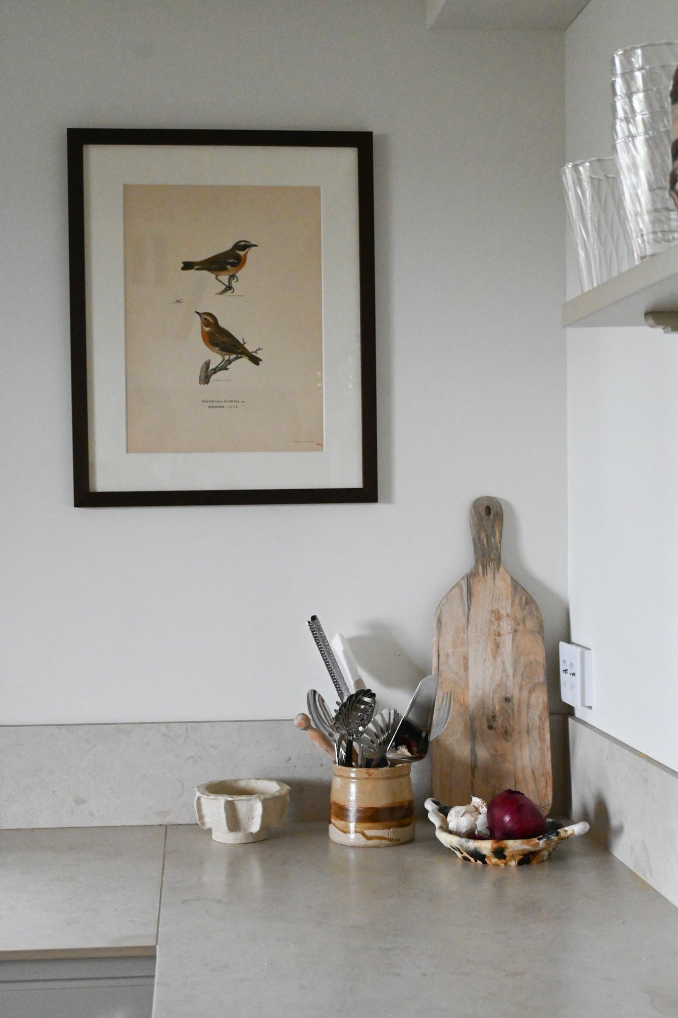 Litografi Svenska Fåglar