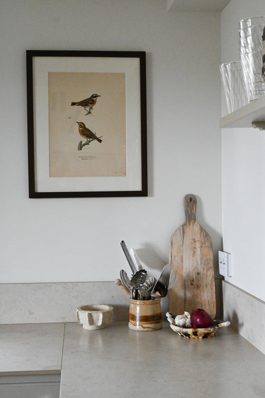 Litografi Svenska Fåglar