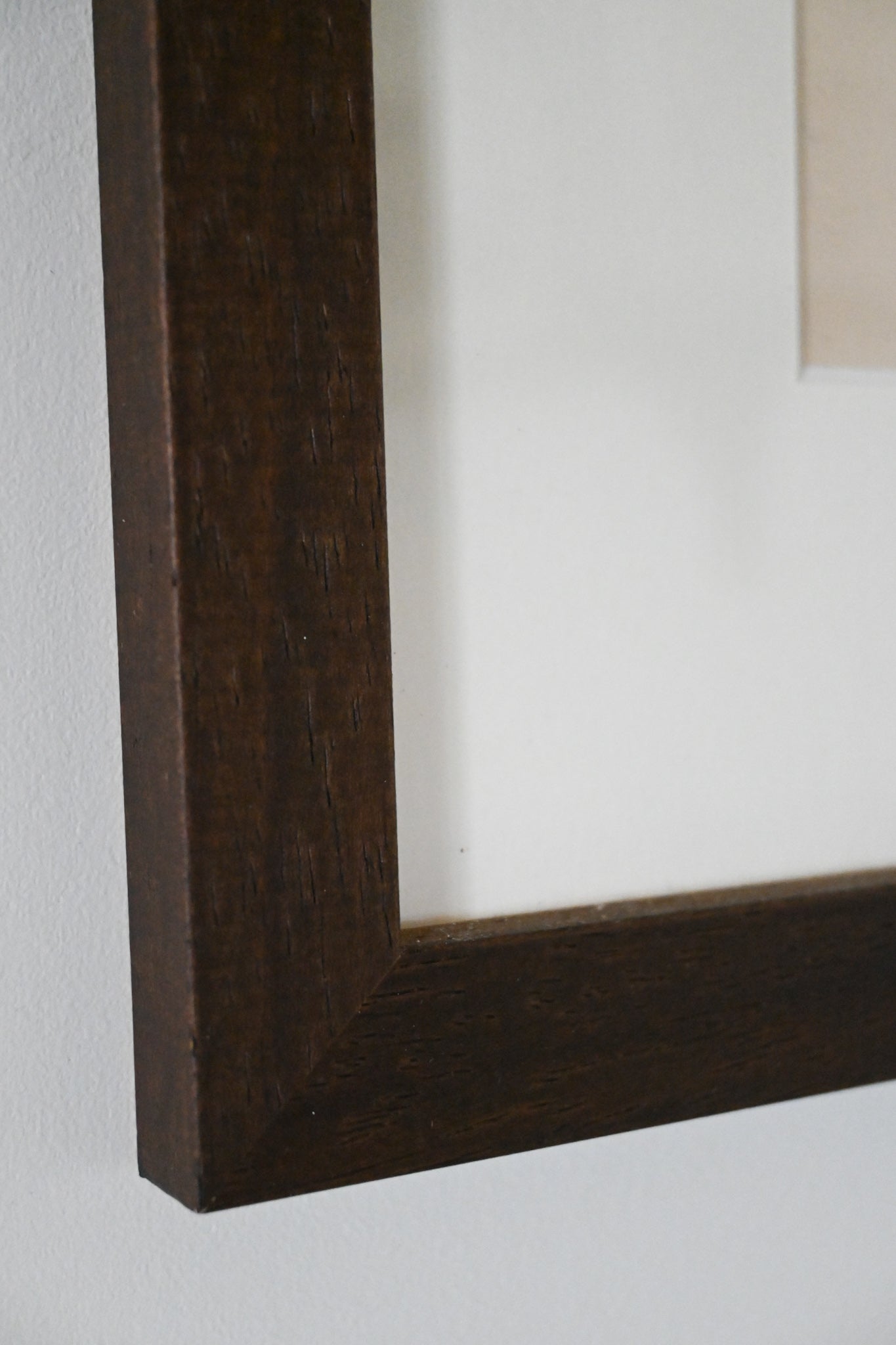 Litografi Svenska Fåglar