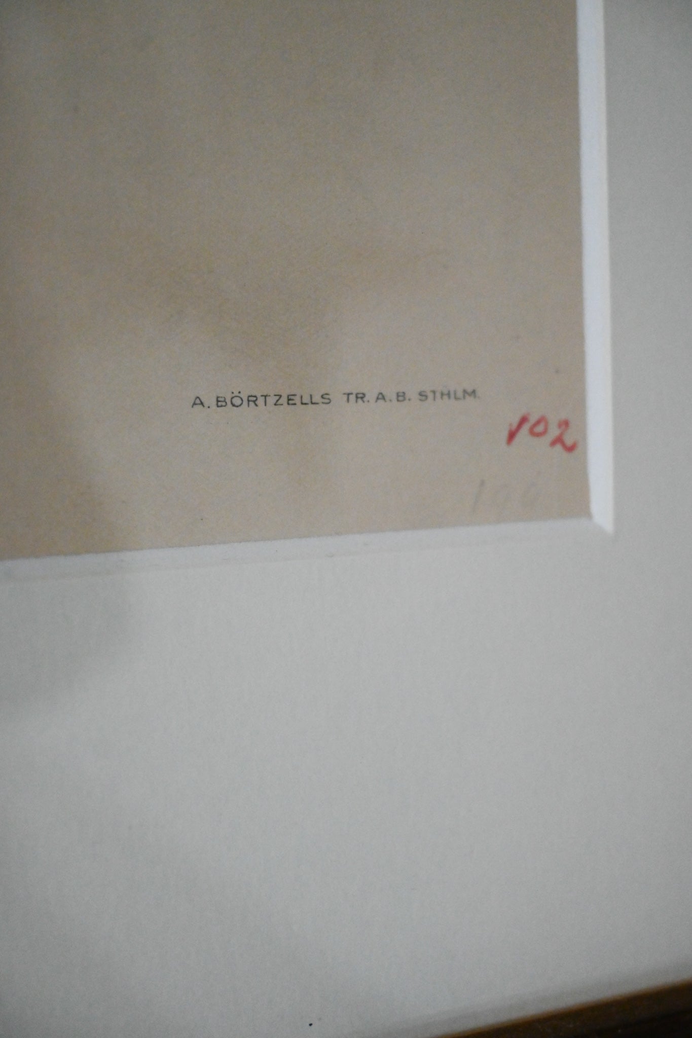 Litografi Svenska Fåglar