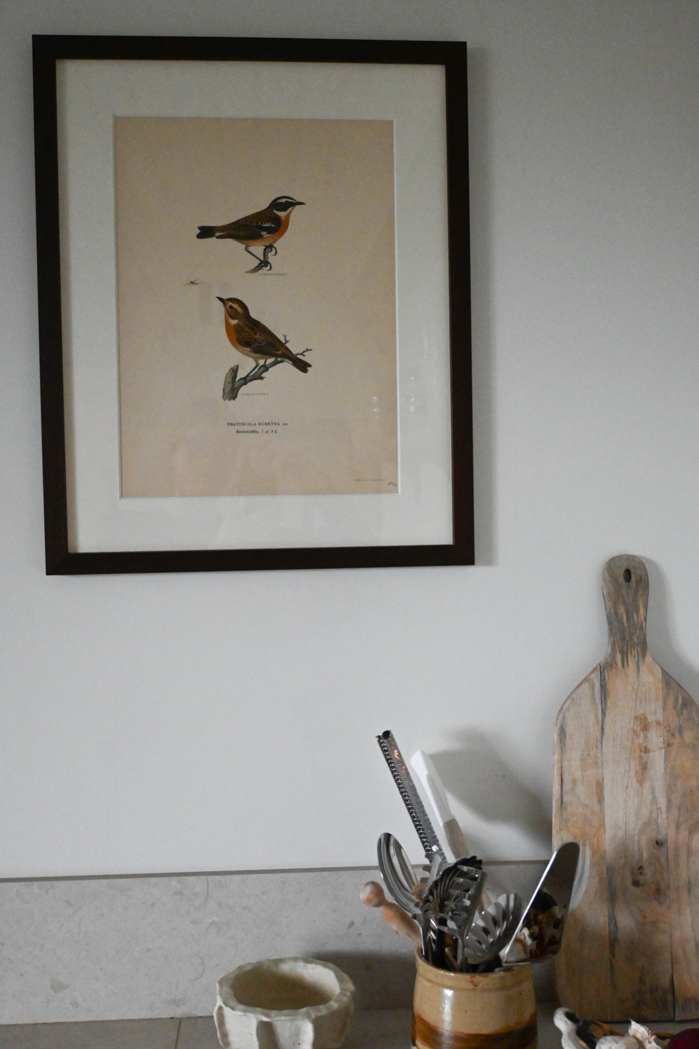 Litografi Svenska Fåglar