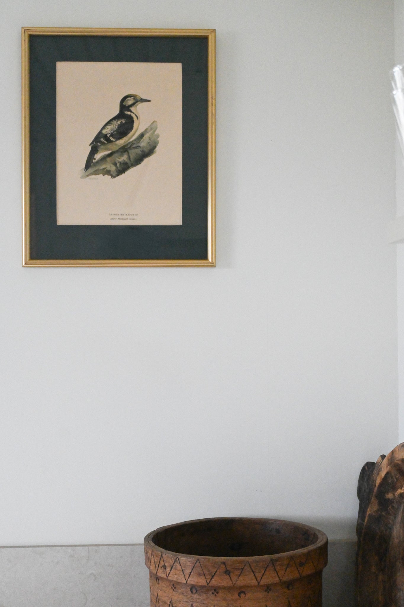 Litografi "Svenska Fåglar" Von Wright