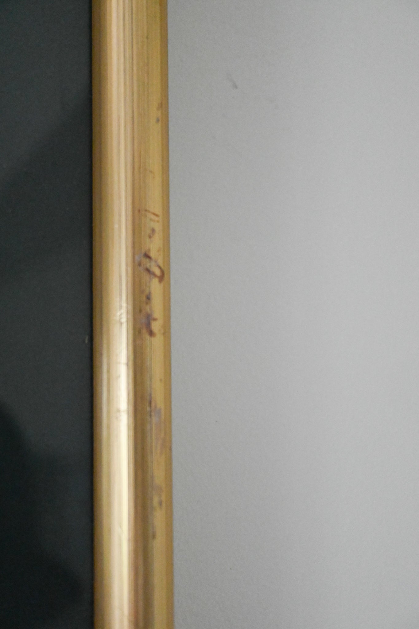 Litografi "Svenska Fåglar" Von Wright