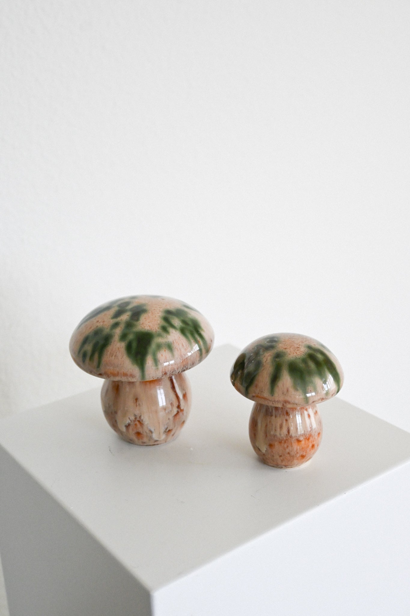 Svamp Gunnar Andersson