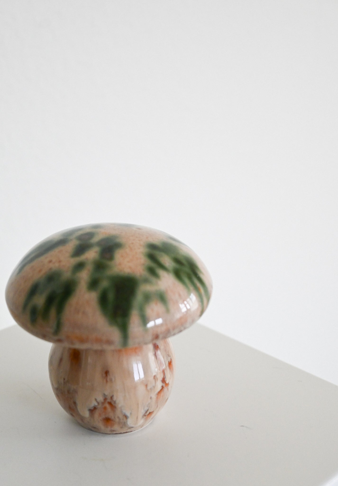 Svamp Gunnar Andersson