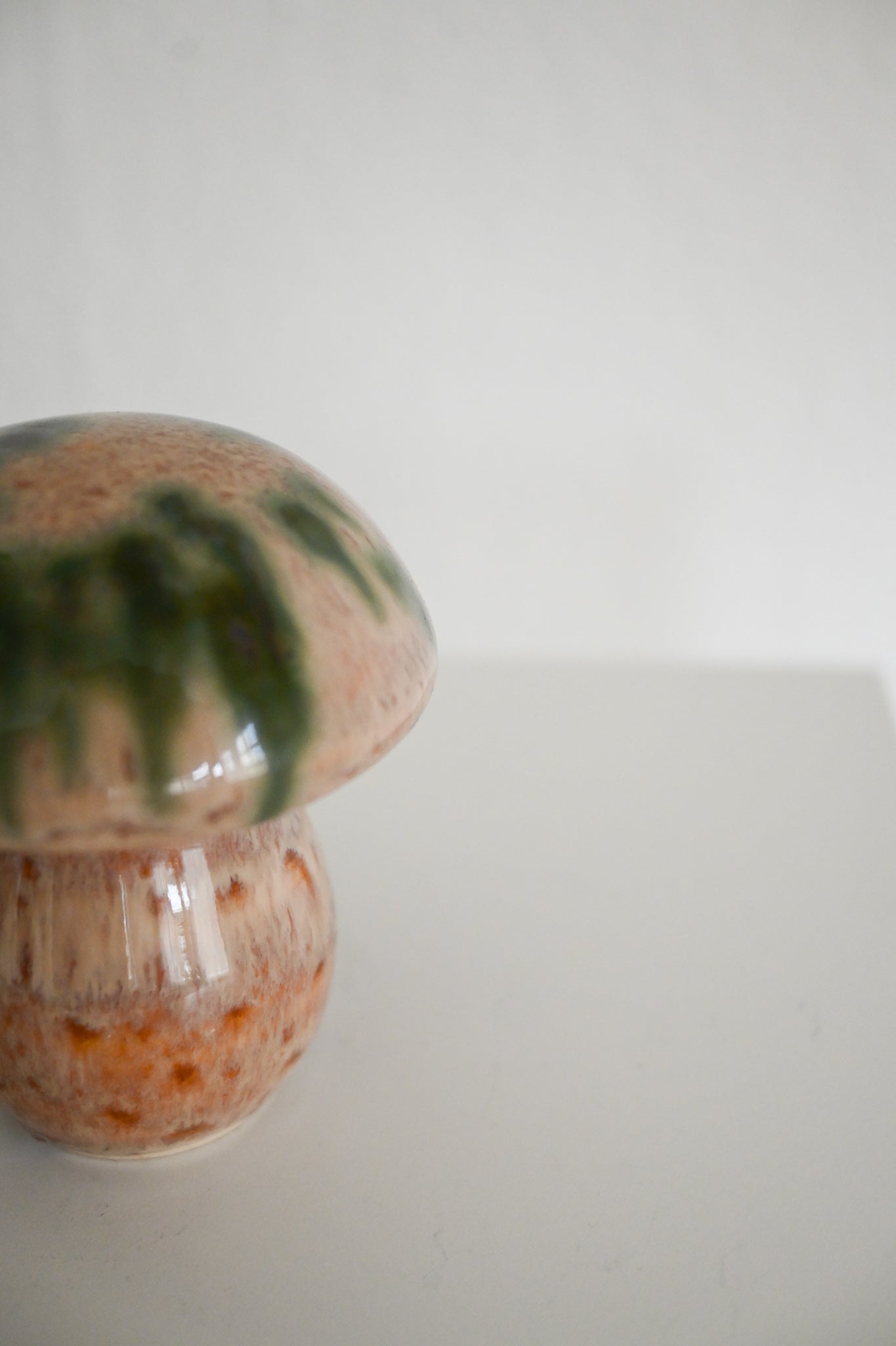 Svamp Gunnar Andersson