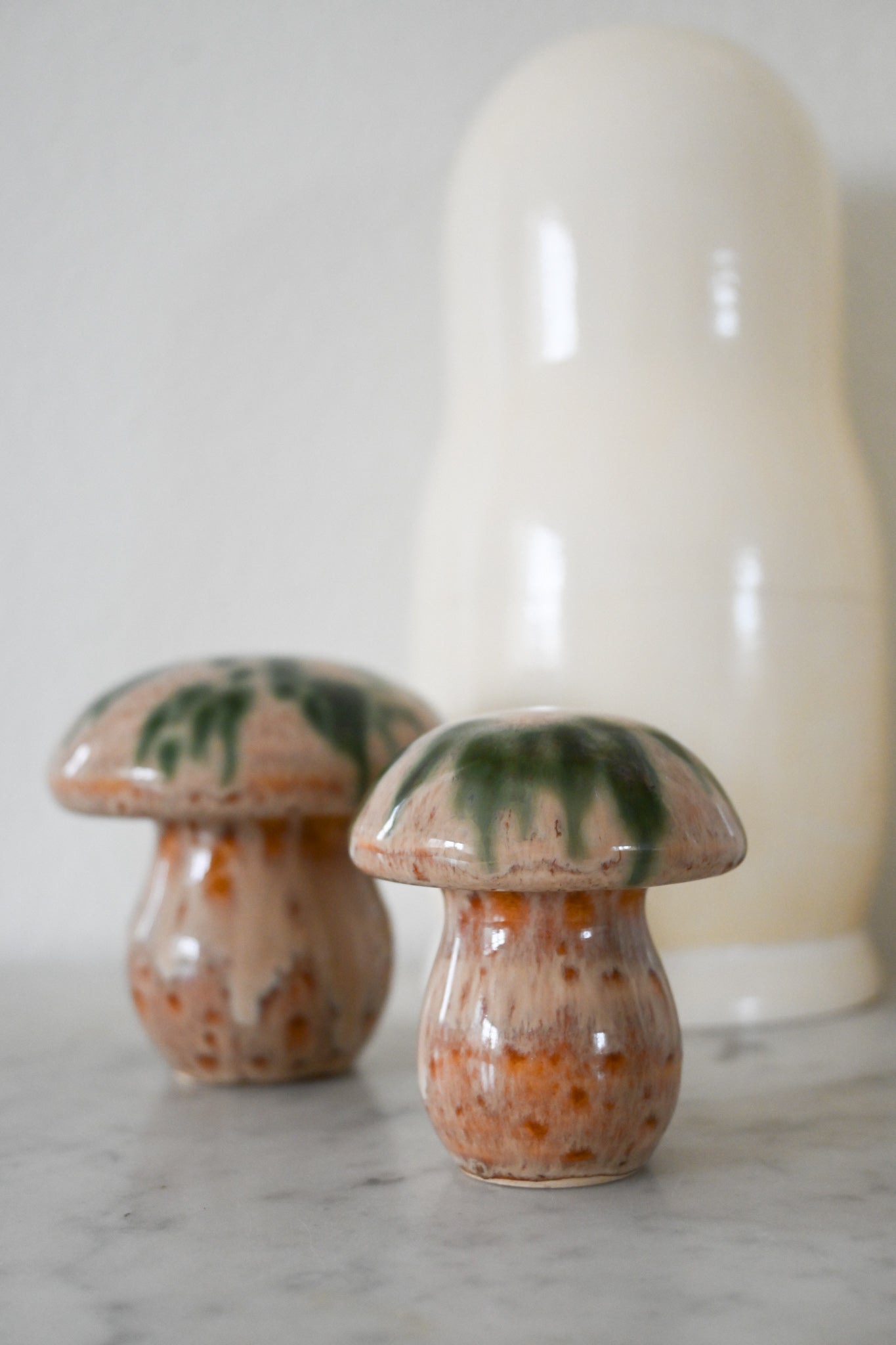 Svamp Gunnar Andersson