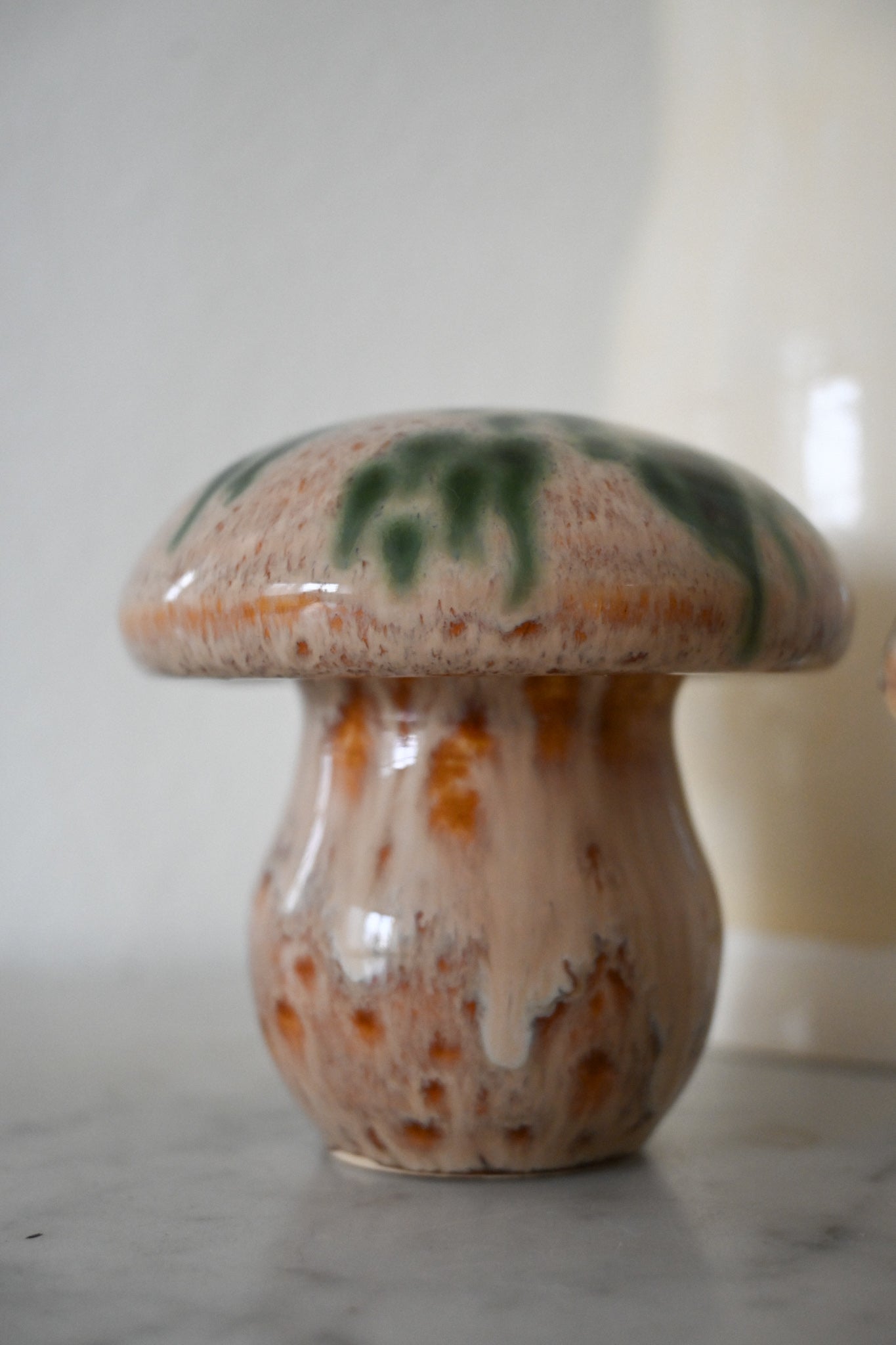 Svamp Gunnar Andersson