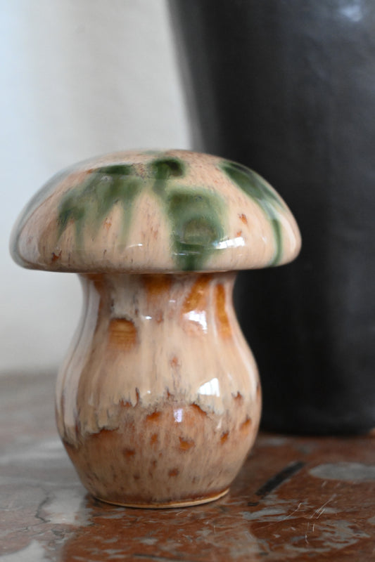 Svamp Gunnar Andersson