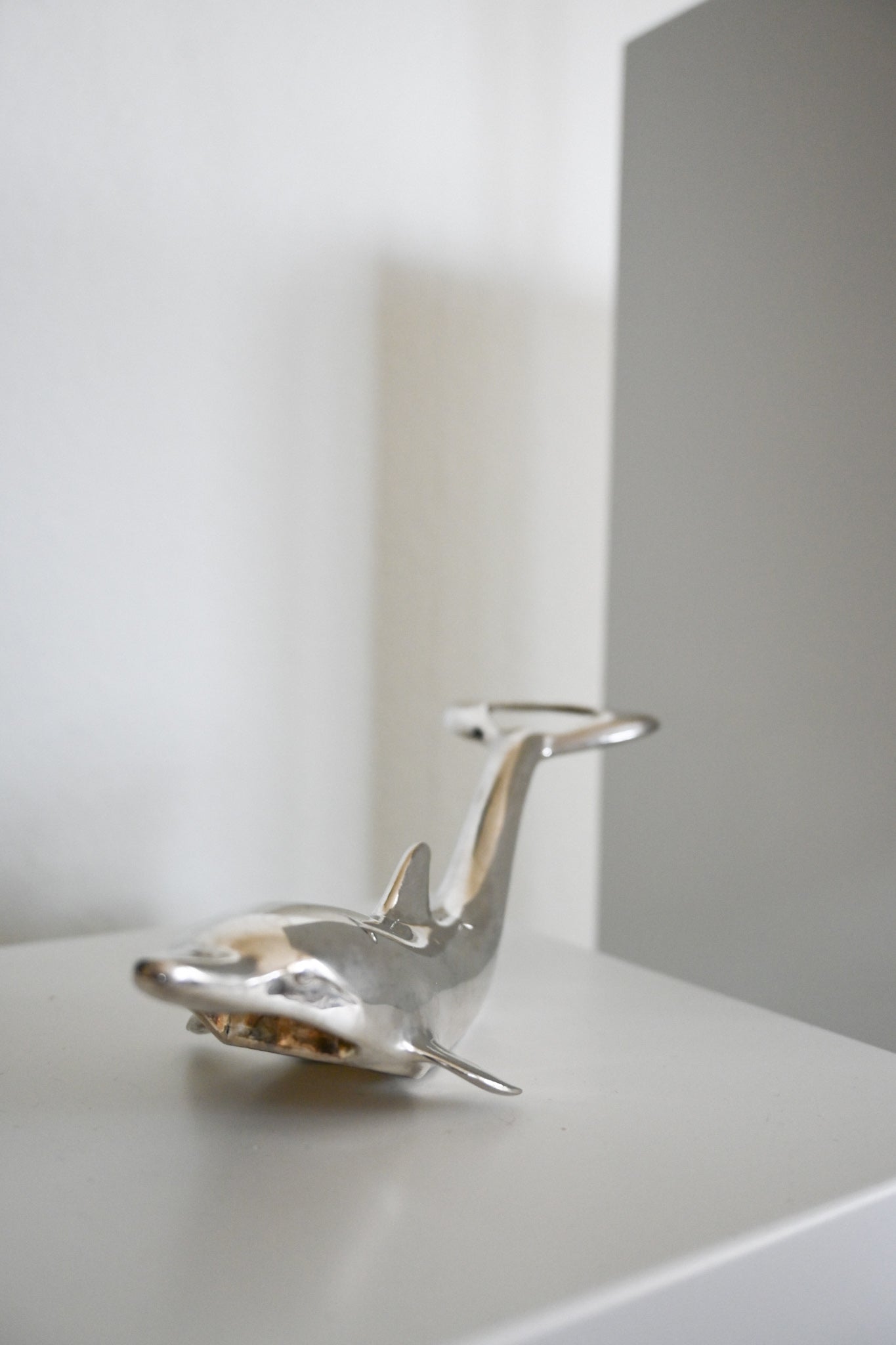 Kapsylöppnare Delfin