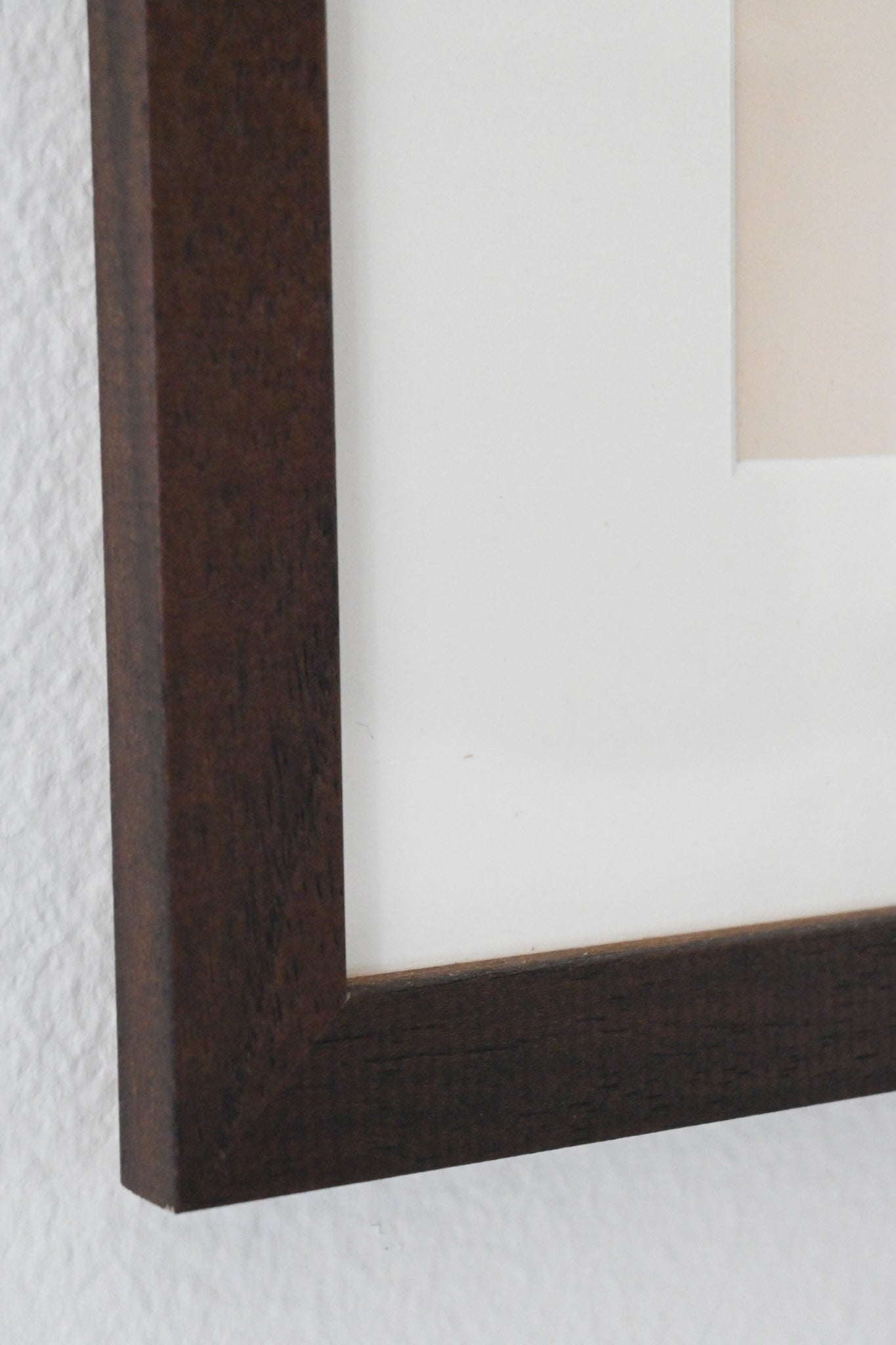 Litografi Svenska Fåglar