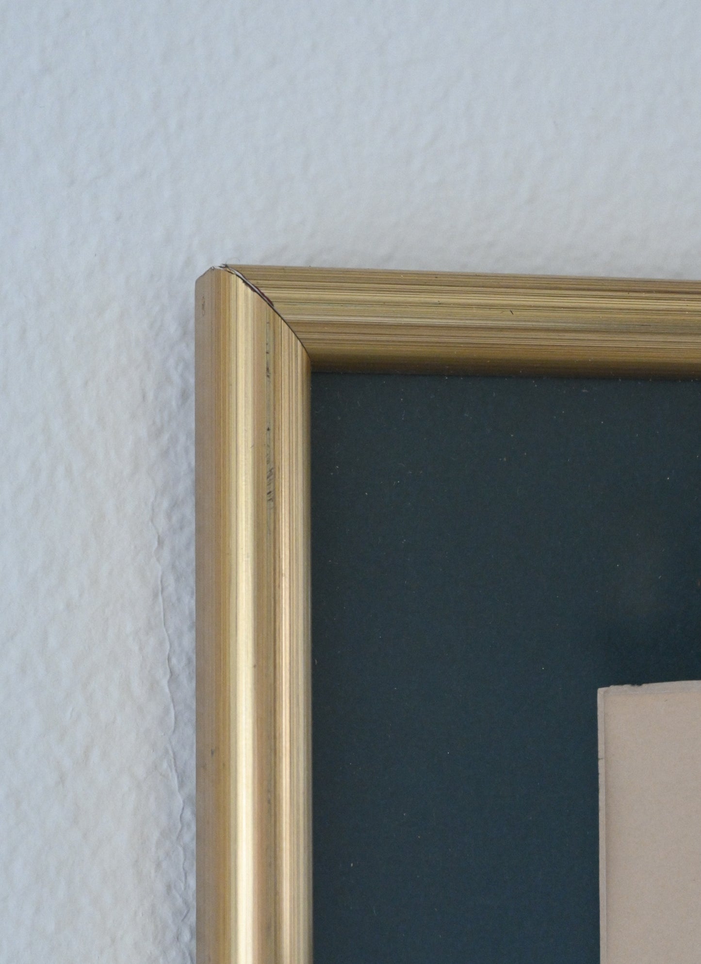 Litografi "Svenska Fåglar" Von Wright