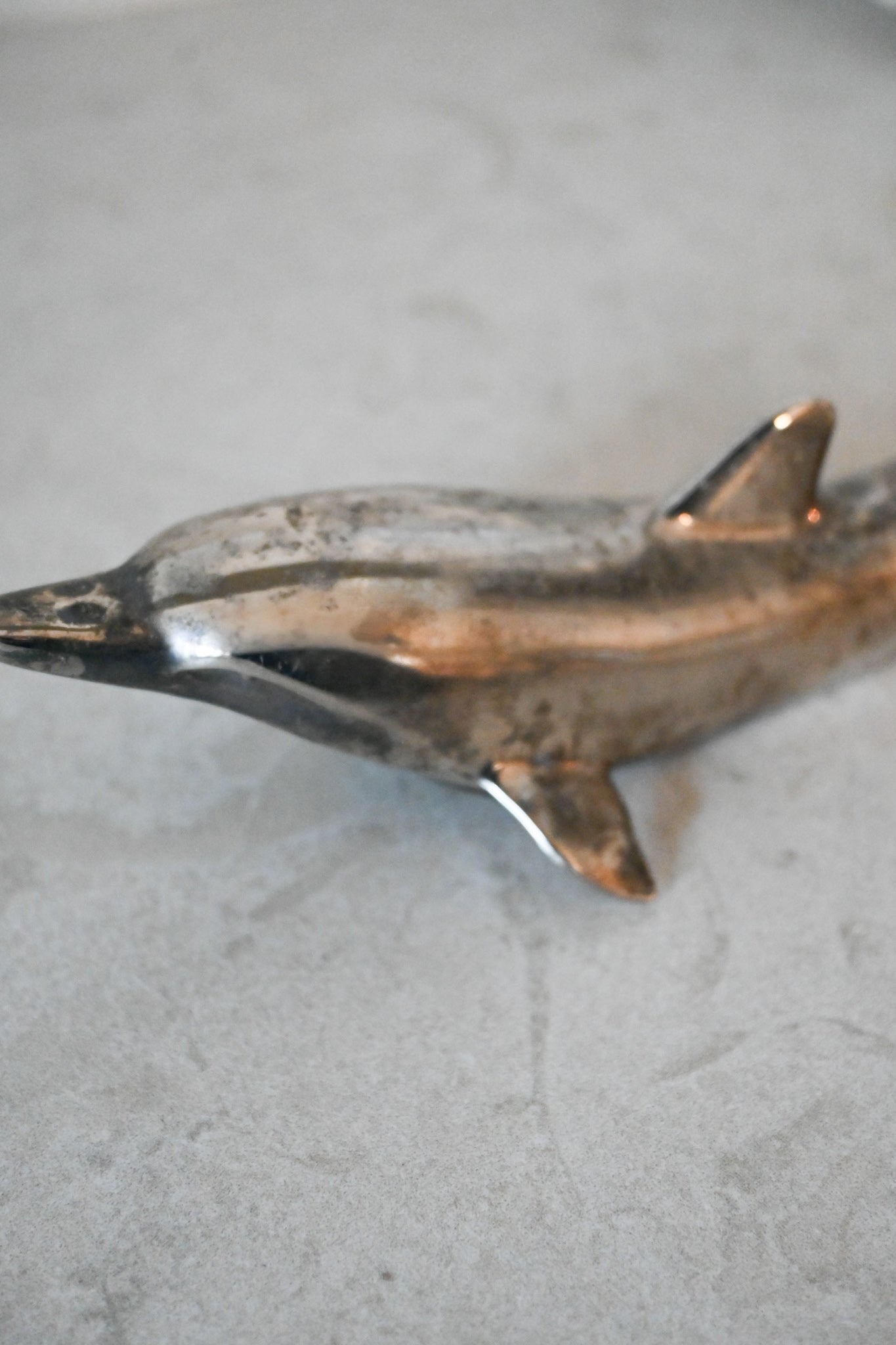 Kapsylöppnare Delfin