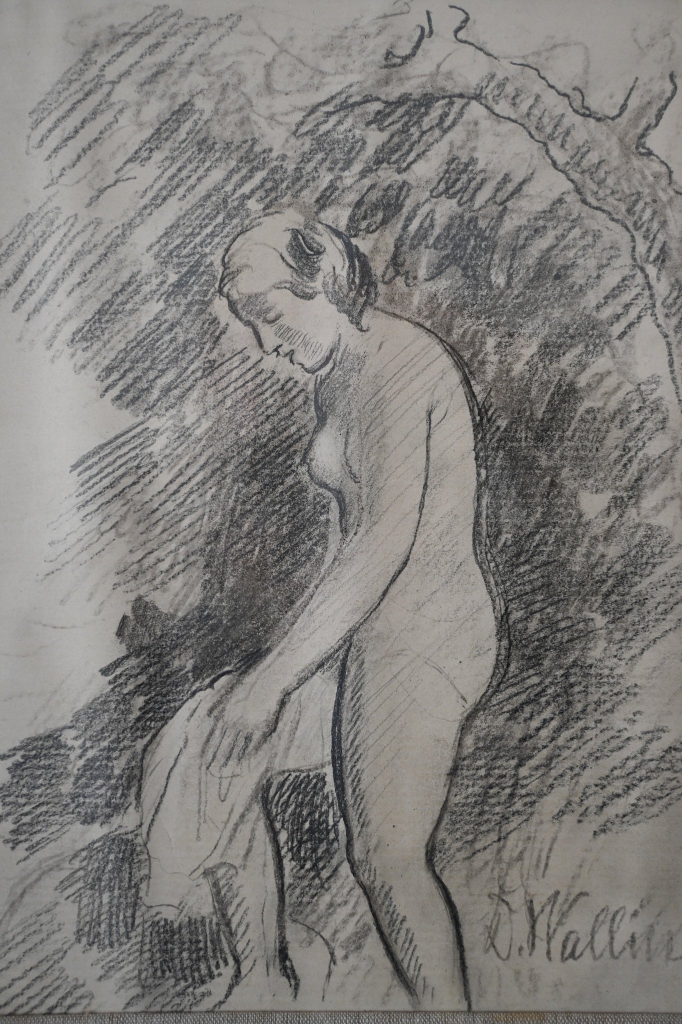 Tavla David Wallin