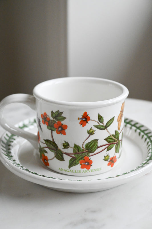 Tekopp med Fat The Botanic Garden