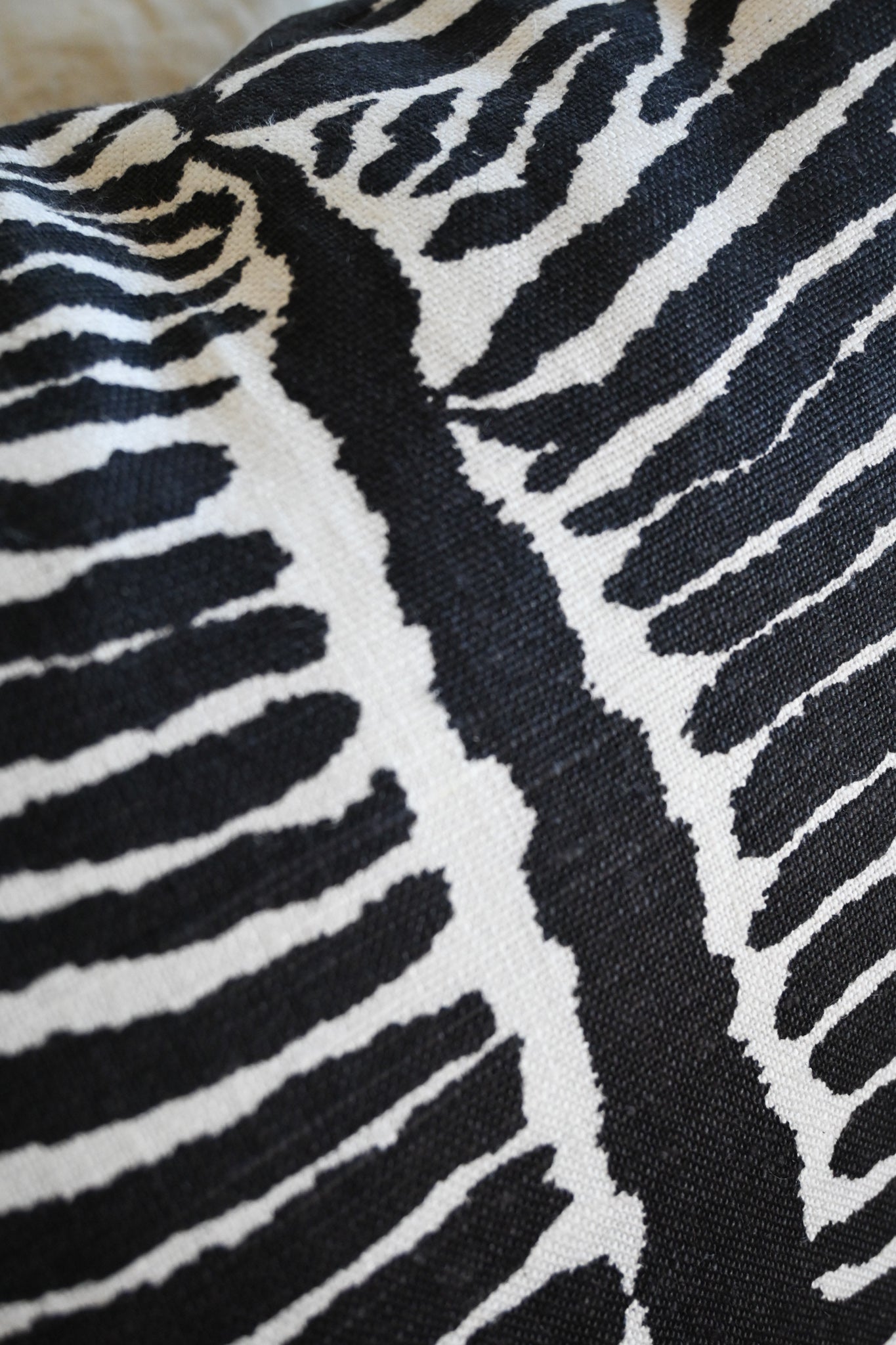 Kudde Le Zebre 50x50