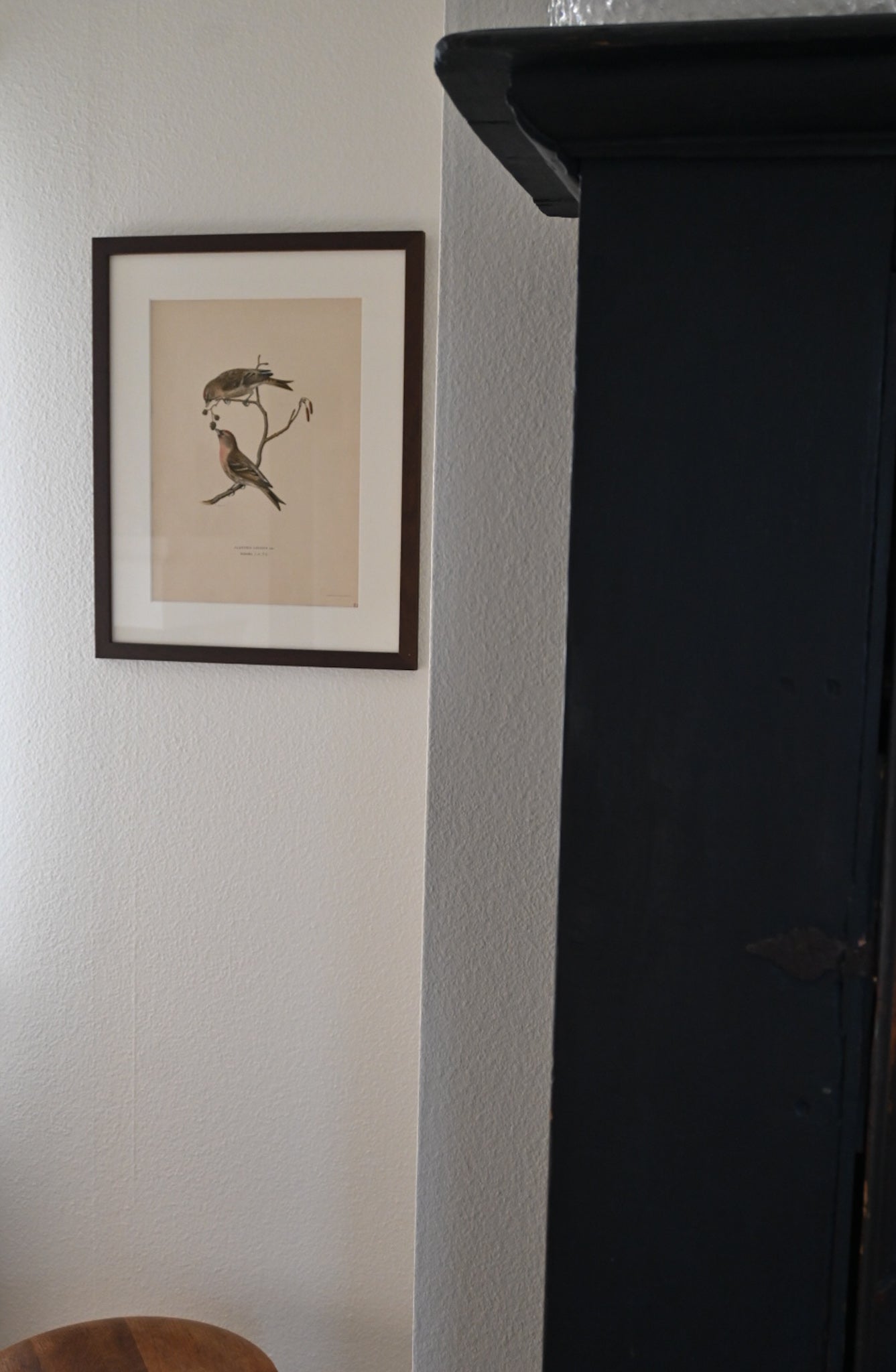 Litografi Svenska Fåglar