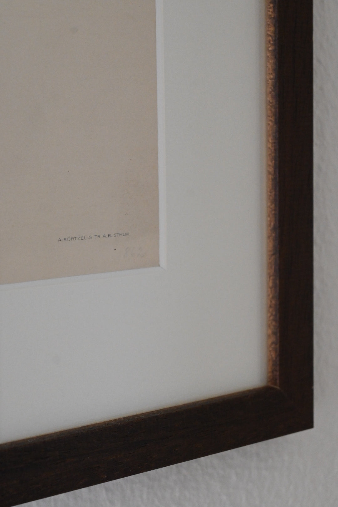 Litografi Svenska Fåglar