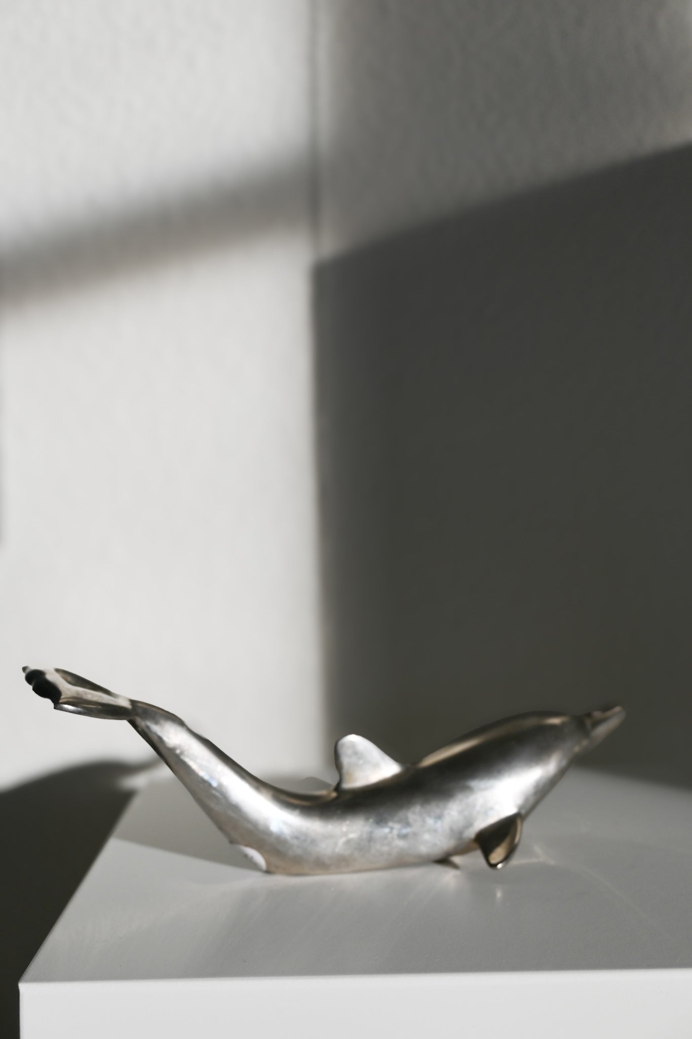 Kapsylöppnare Delfin