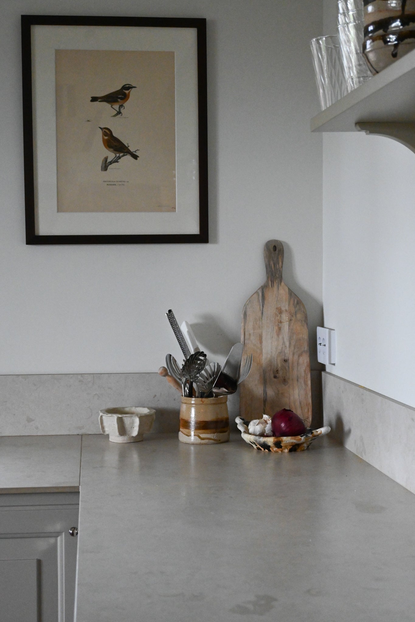 Litografi Svenska Fåglar