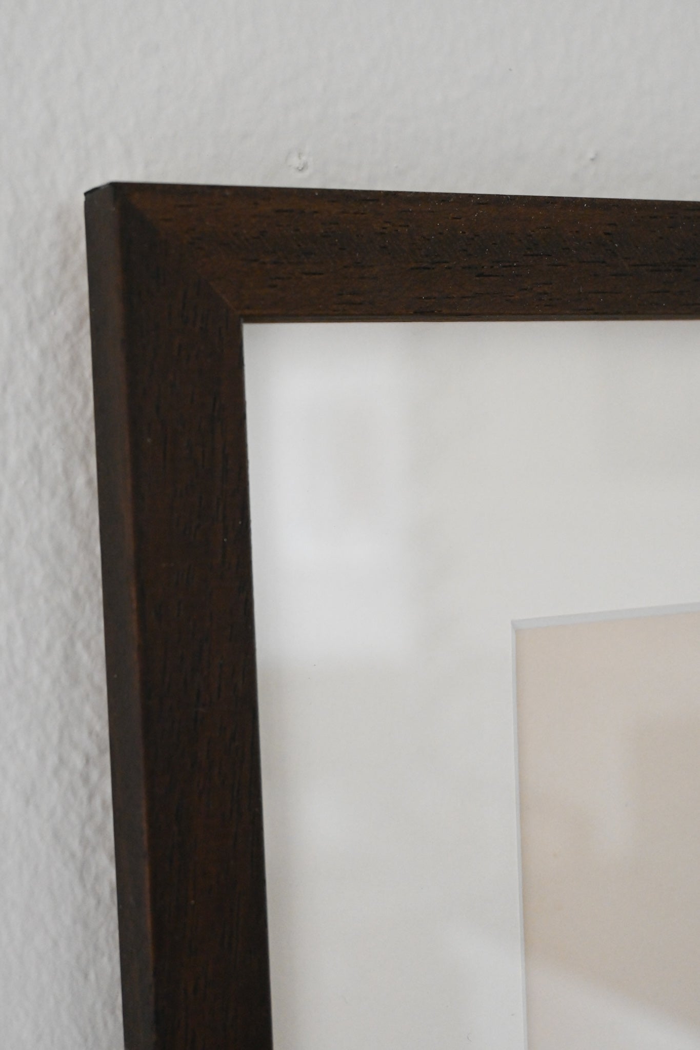 Litografi Svenska Fåglar