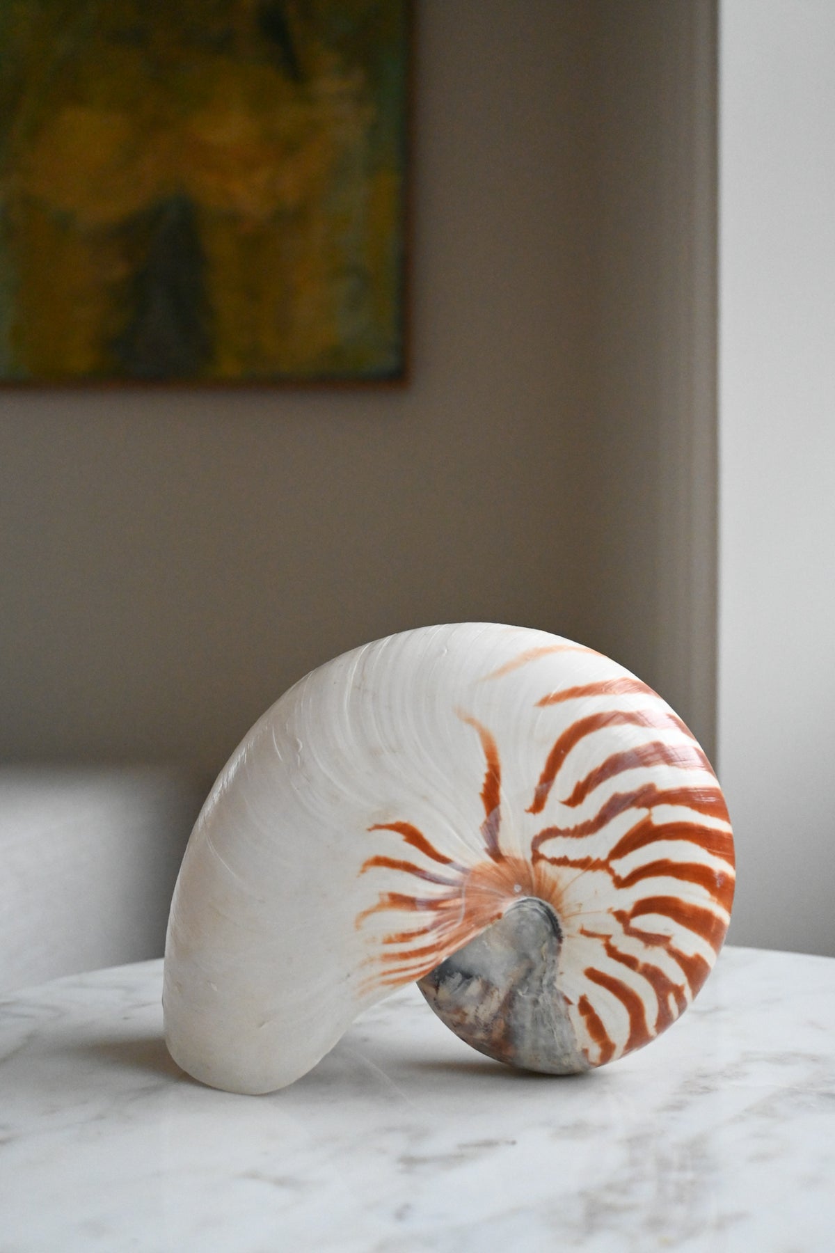 Nautilussnäcka