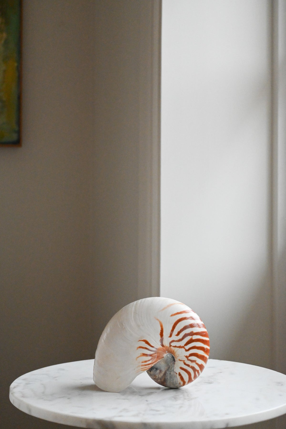 Nautilussnäcka