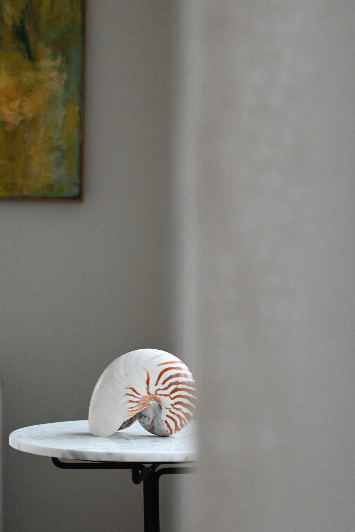 Nautilussnäcka