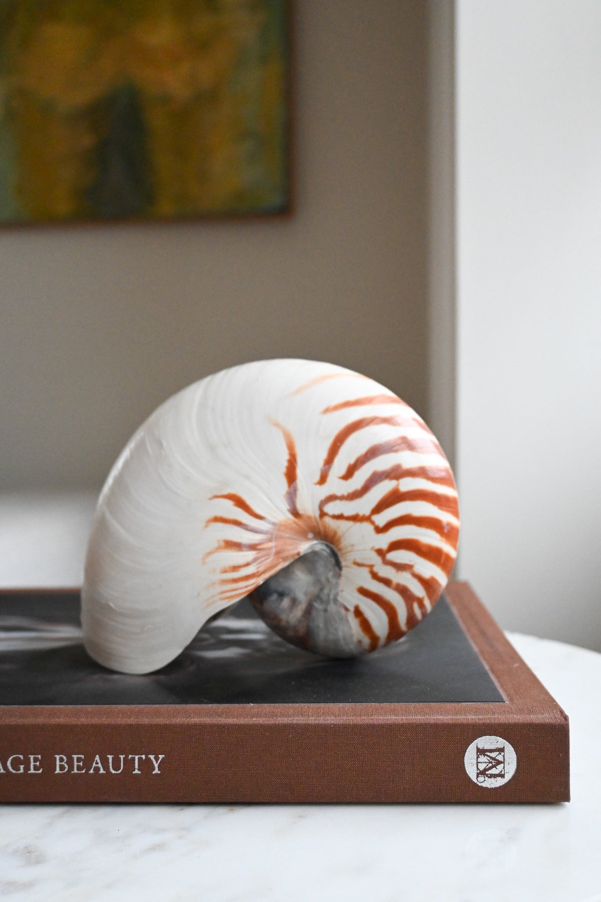 Nautilussnäcka