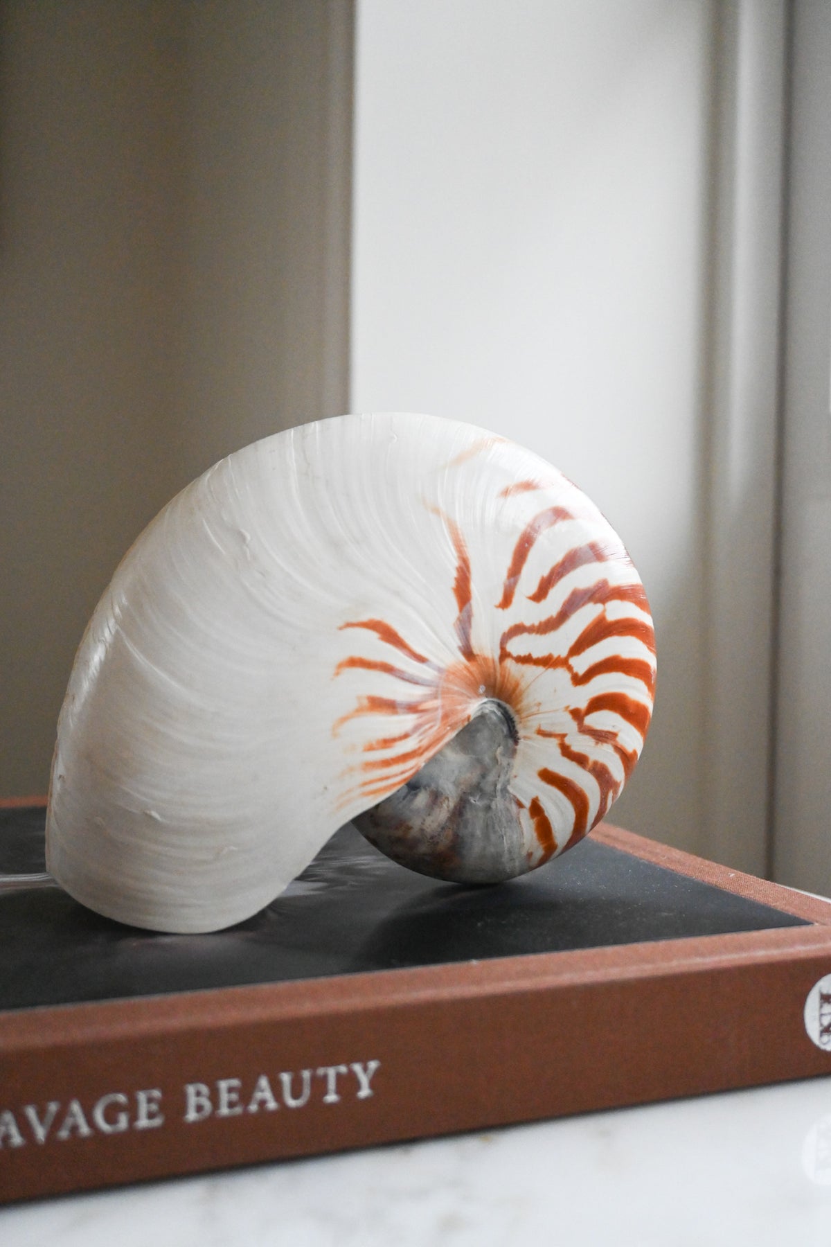 Nautilussnäcka