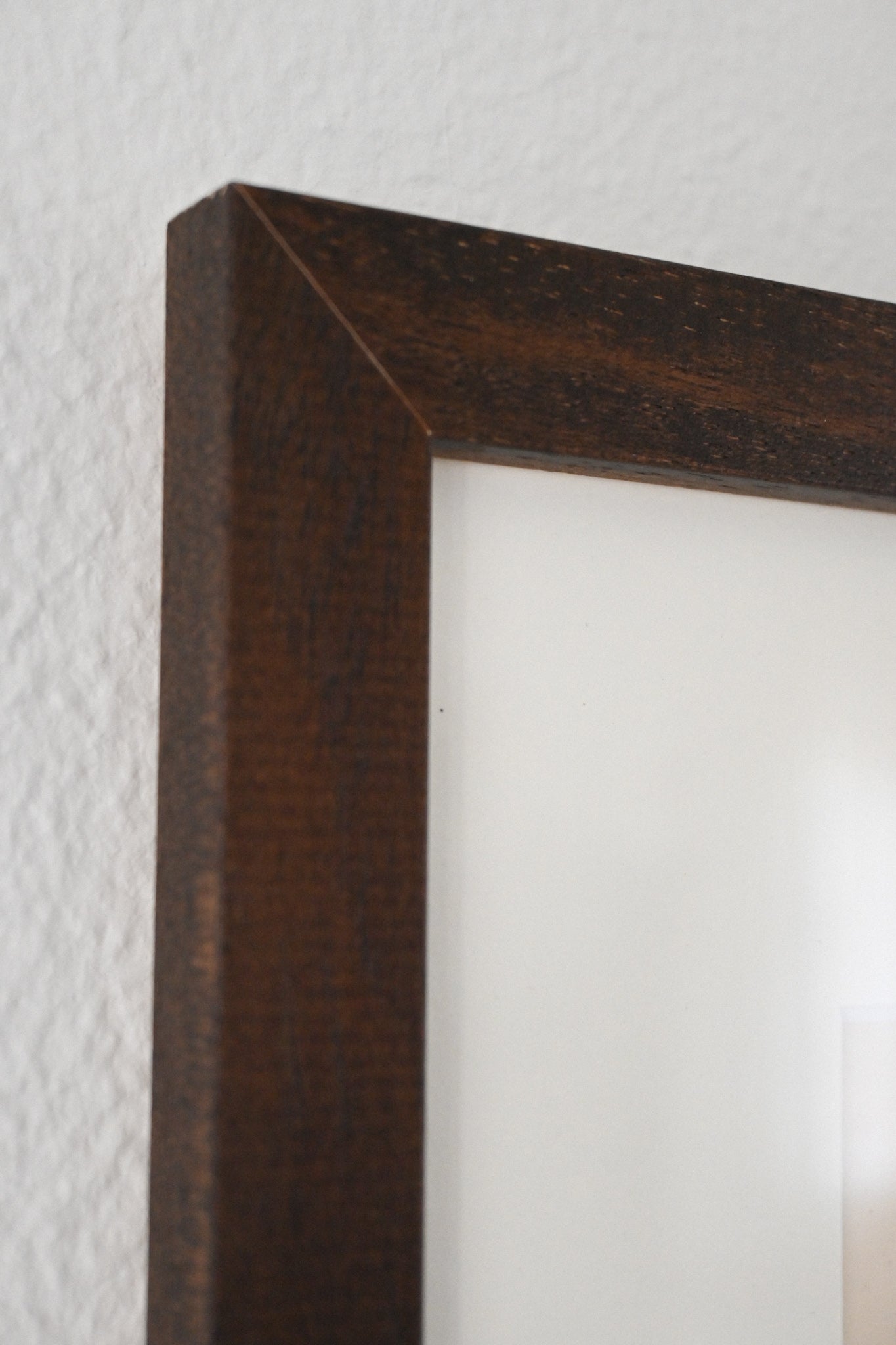 Litografi Svenska Fåglar