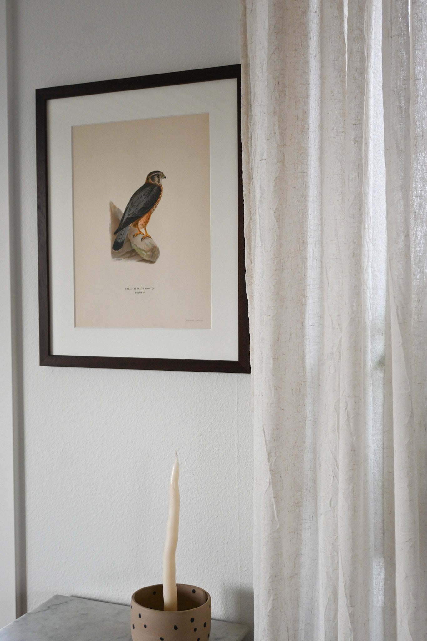 Litografi Svenska Fåglar