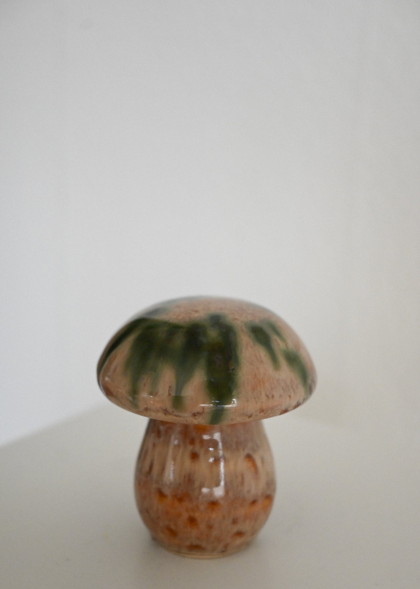 Svamp Gunnar Andersson