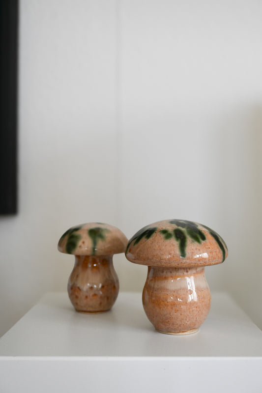 Svamp Gunnar Andersson