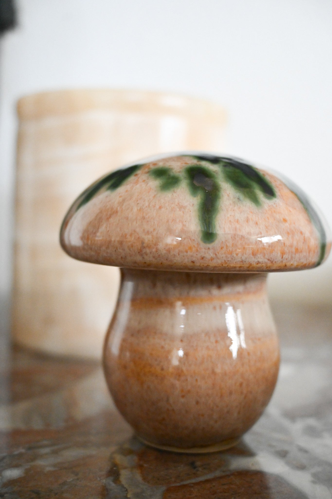 Svamp Gunnar Andersson