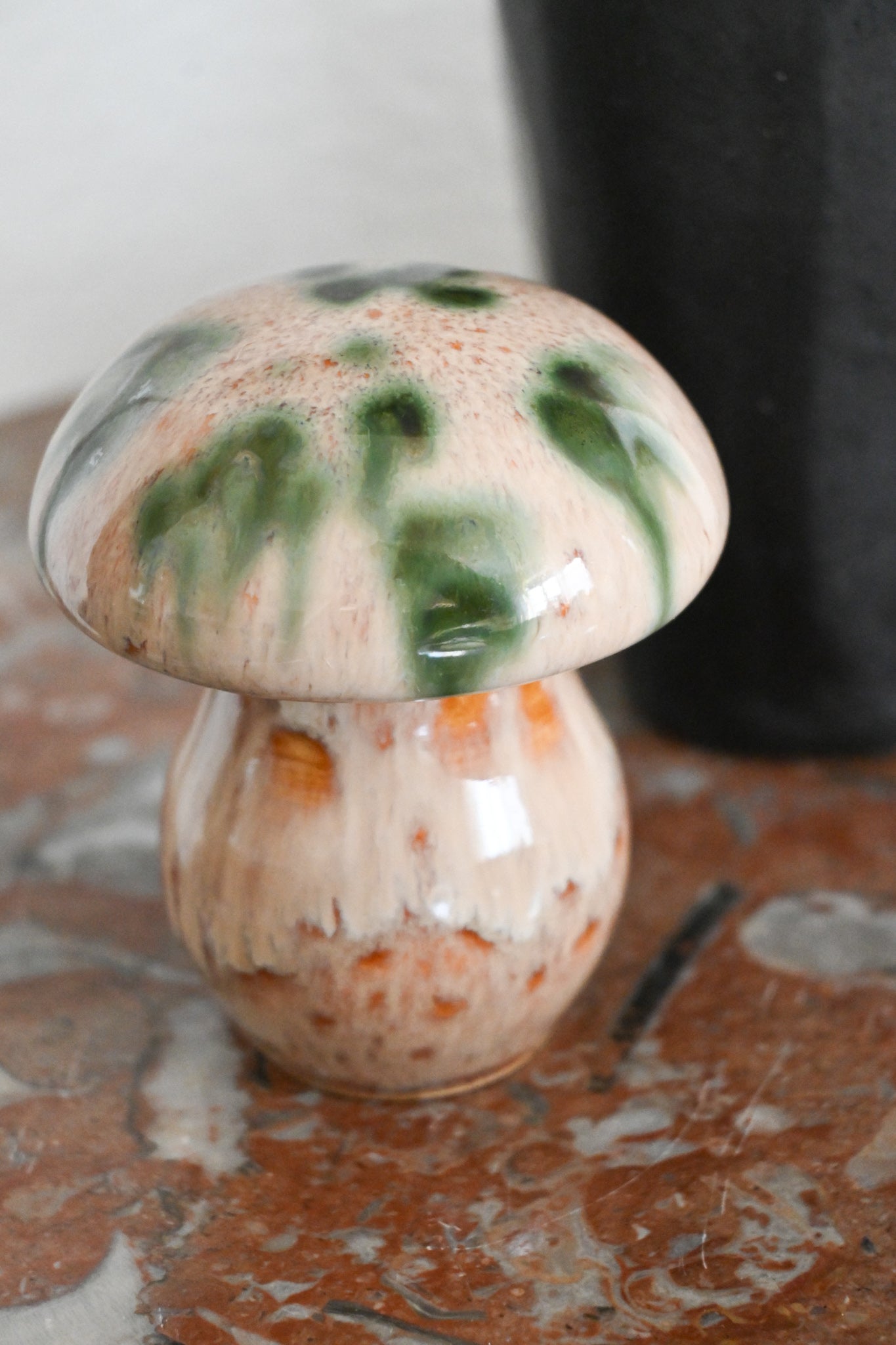 Svamp Gunnar Andersson