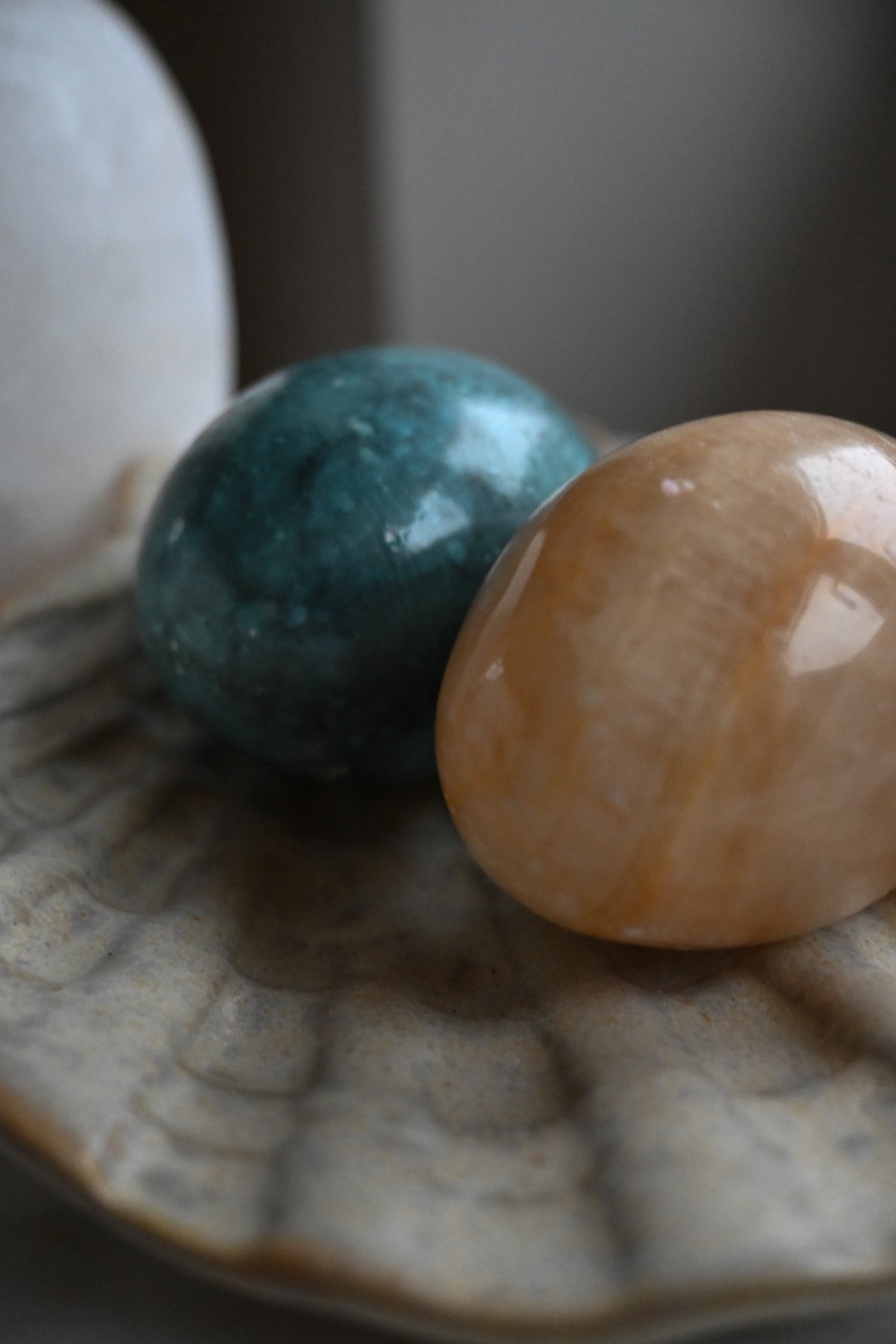Stenägg Blå
